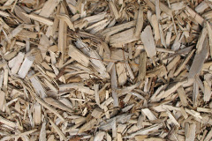 biomass boilers Saxilby